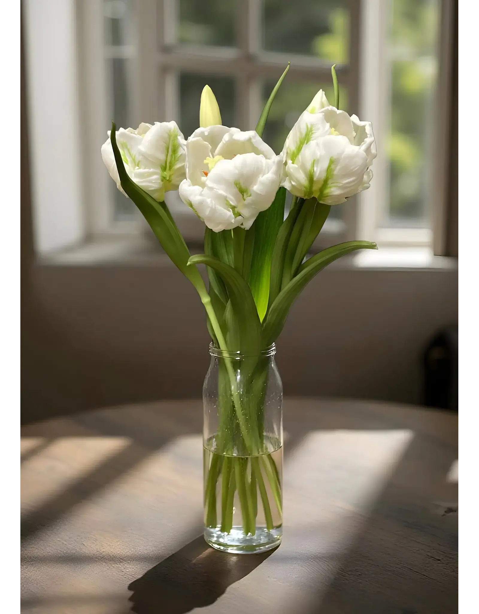 16" Fresh Touch Parrot Tulip - White