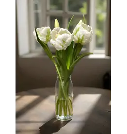 16" Fresh Touch Parrot Tulip - White