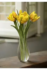 16" Fresh Touch Parrot Tulip - Yellow
