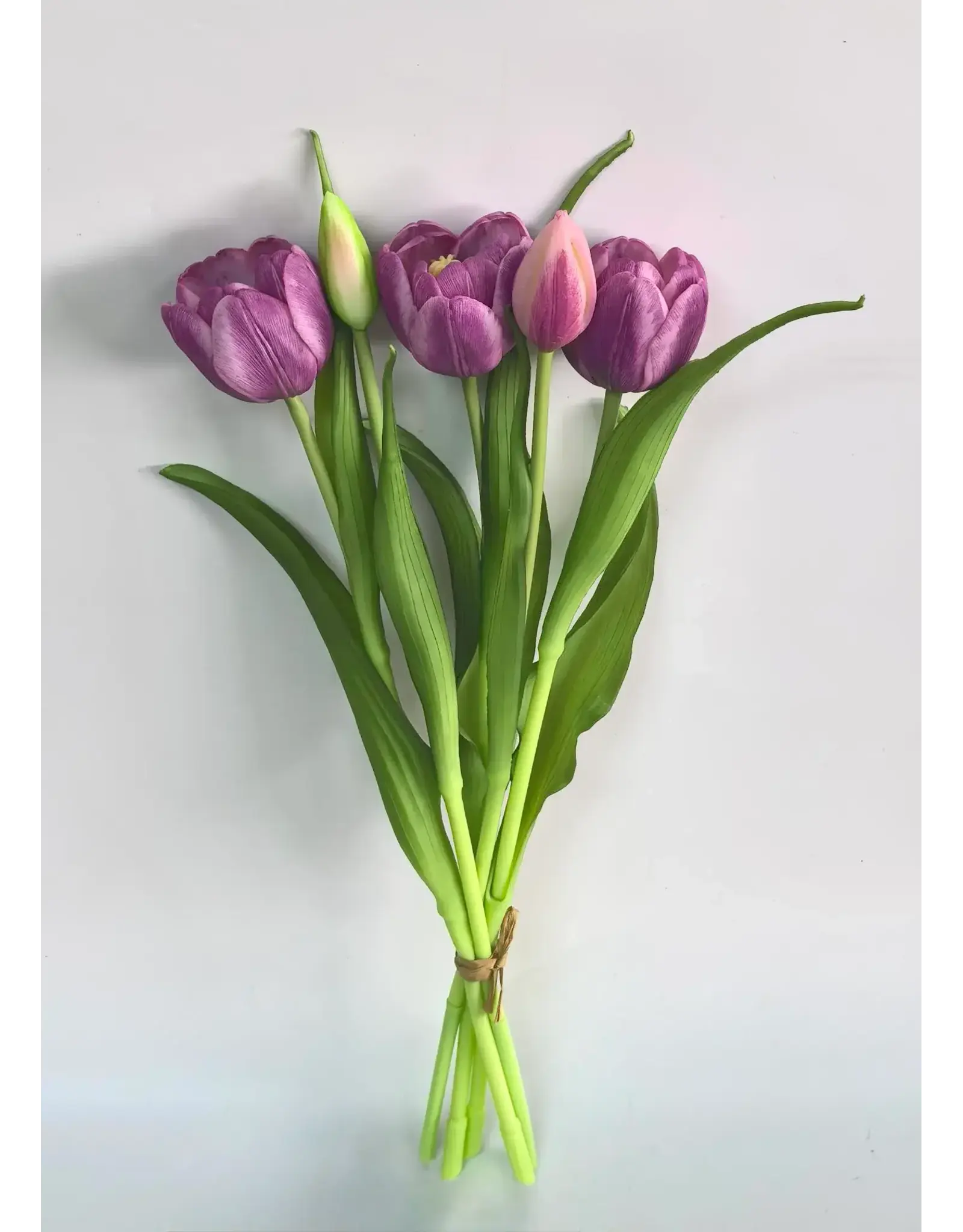 16" Fresh Touch Double Late Tulip - Lt Plum
