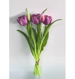 16" Fresh Touch Double Late Tulip - Lt Plum