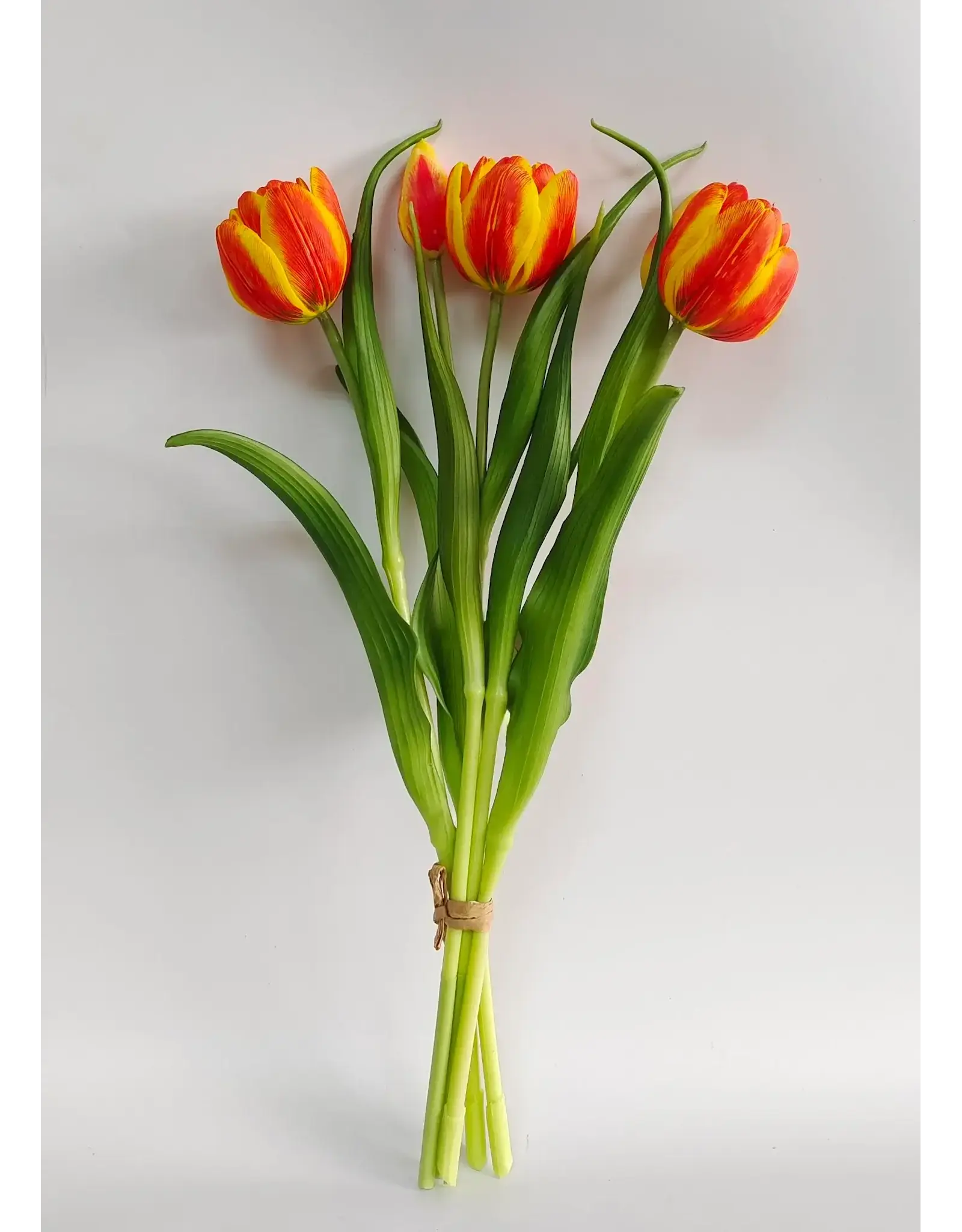 16" Fresh Touch Double Late Tulip - Orange