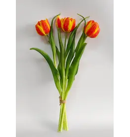 16" Fresh Touch Double Late Tulip - Orange