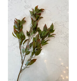 35" Ficus Spray