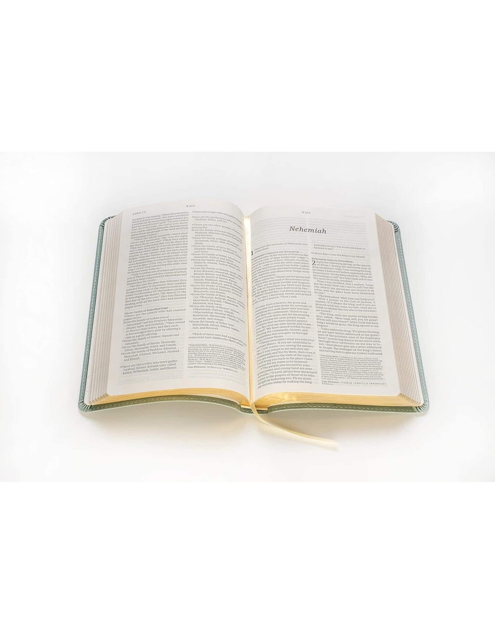 Thinline Reference Bible - NLT, Sage, Filament Enabled