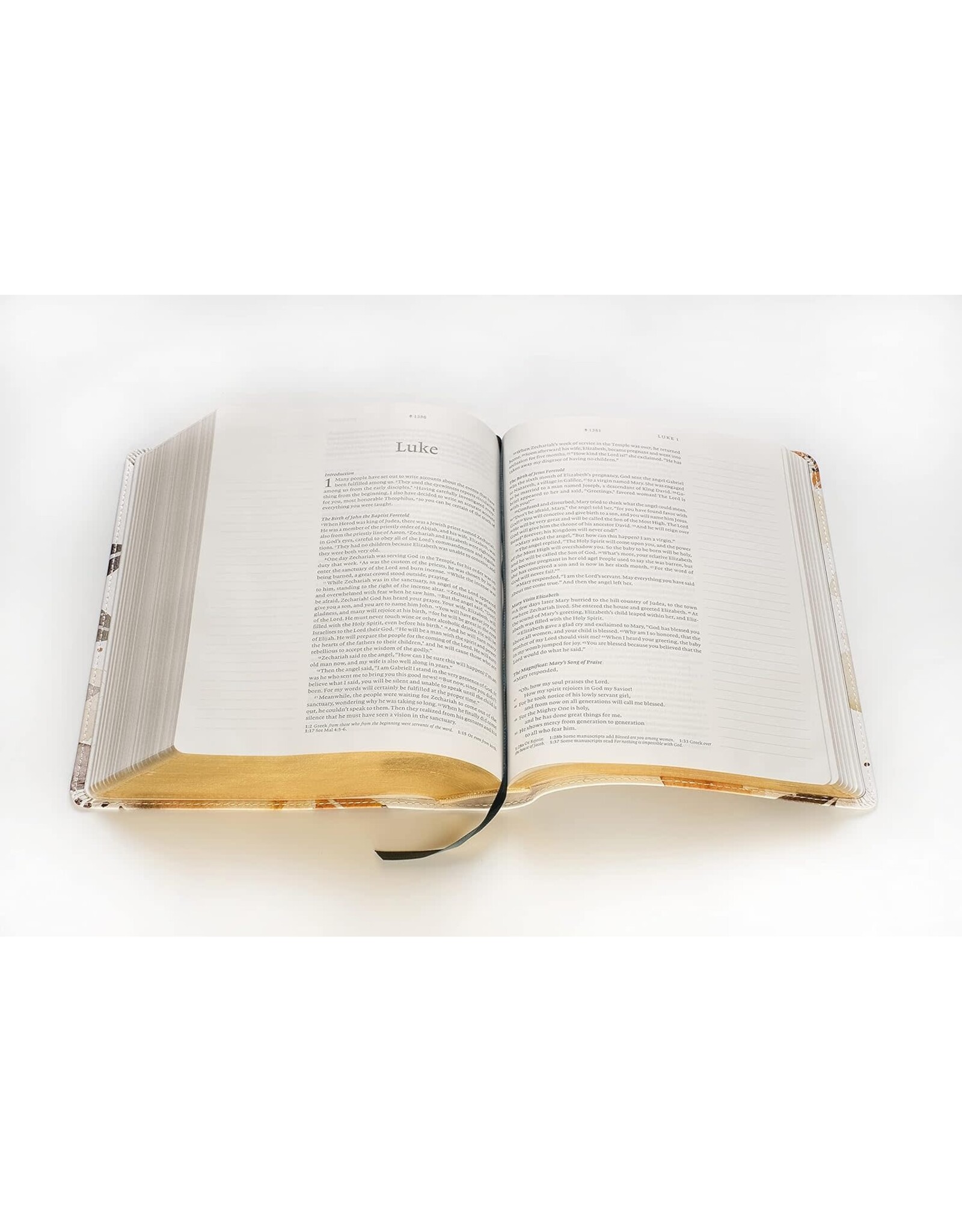 Wide Margin Bible - NLT, Autumn Leaves, Filament Enabled