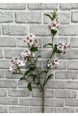 33.5" Pink Phlox Stem