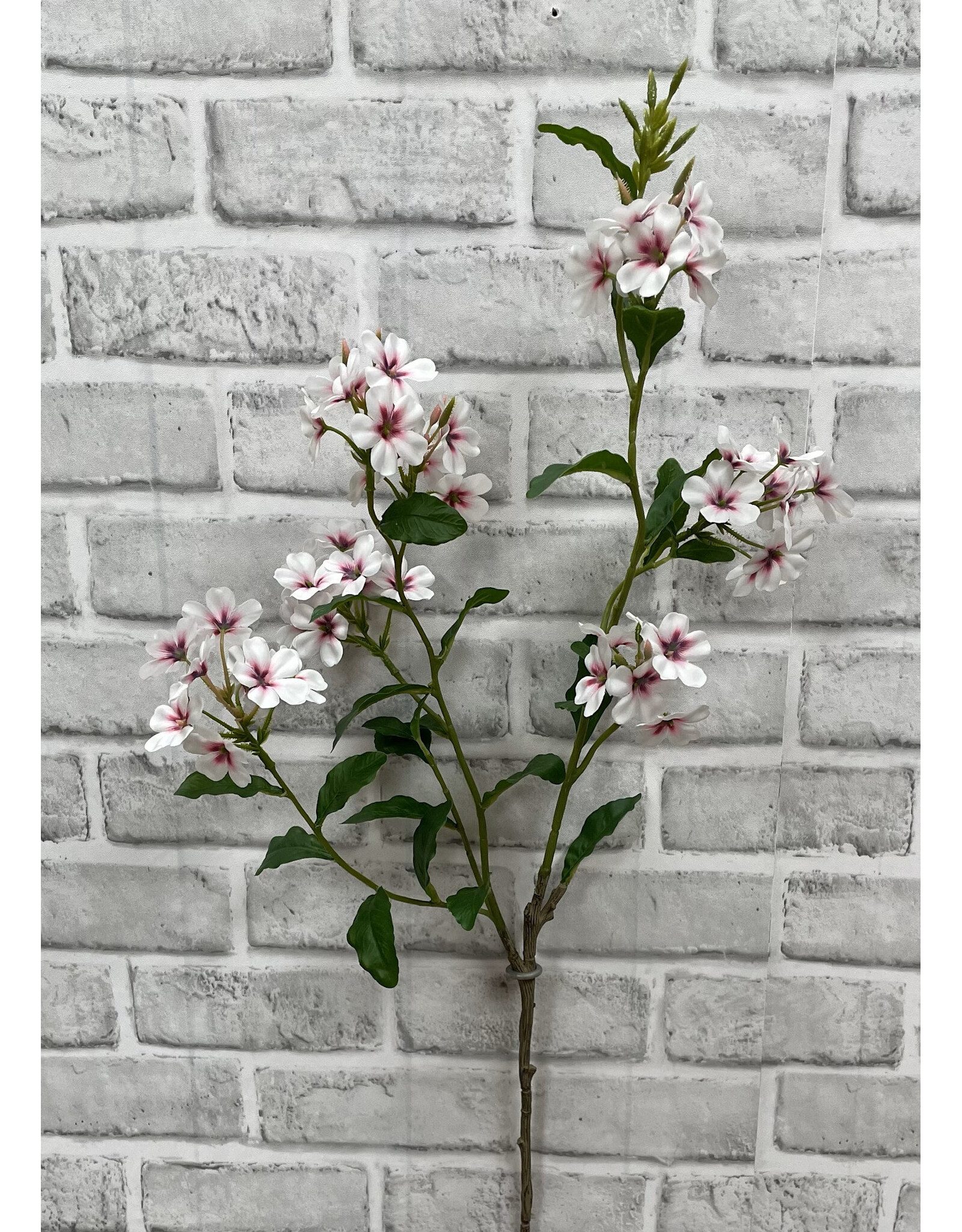 33.5" Pink Phlox Stem