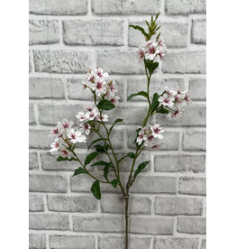 33.5" Pink Phlox Stem