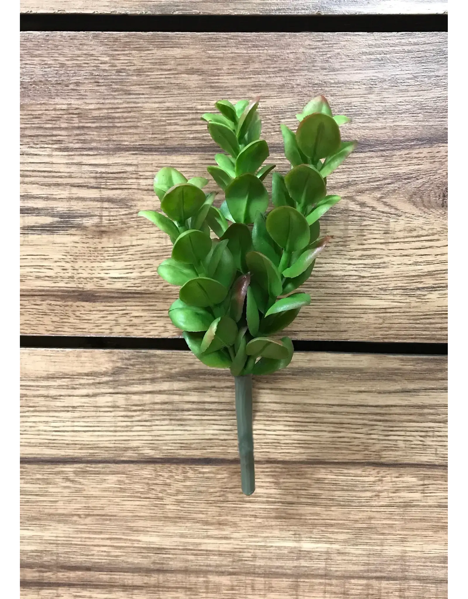 7.5" Succulent Stem