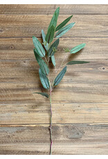 29" Fresh Touch Willow Eucalyptus Spray