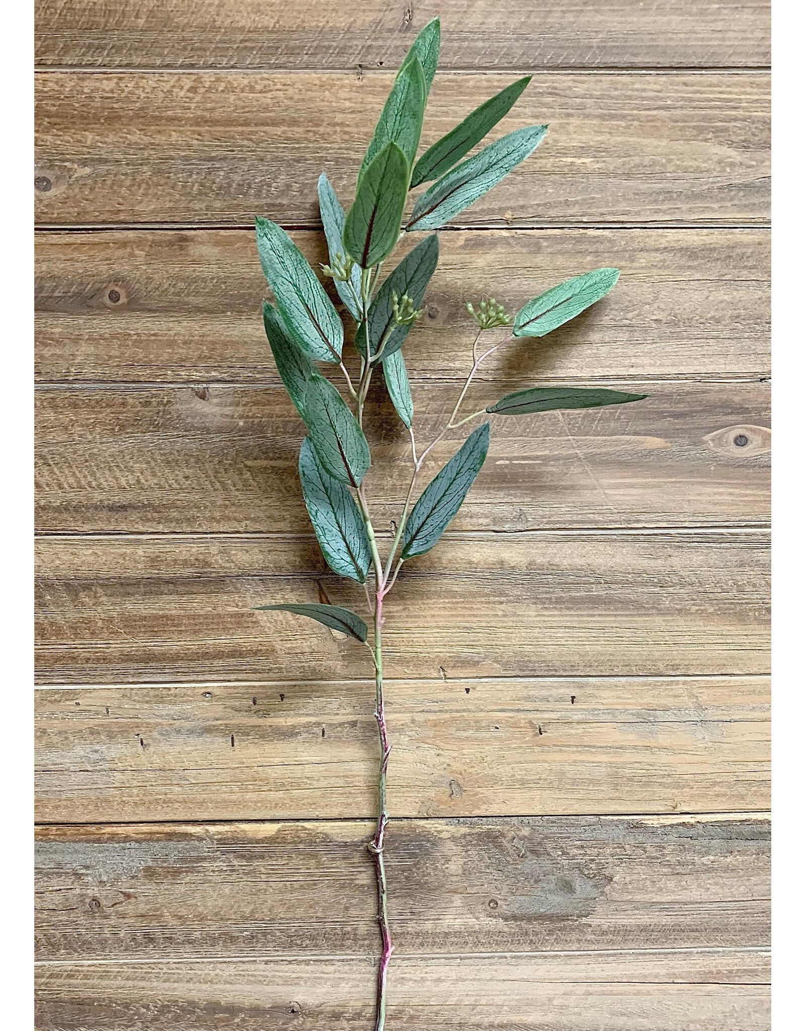 29" Fresh Touch Willow Eucalyptus Spray