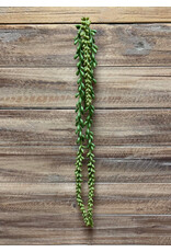 26" Nertera Berry Hanging Pick