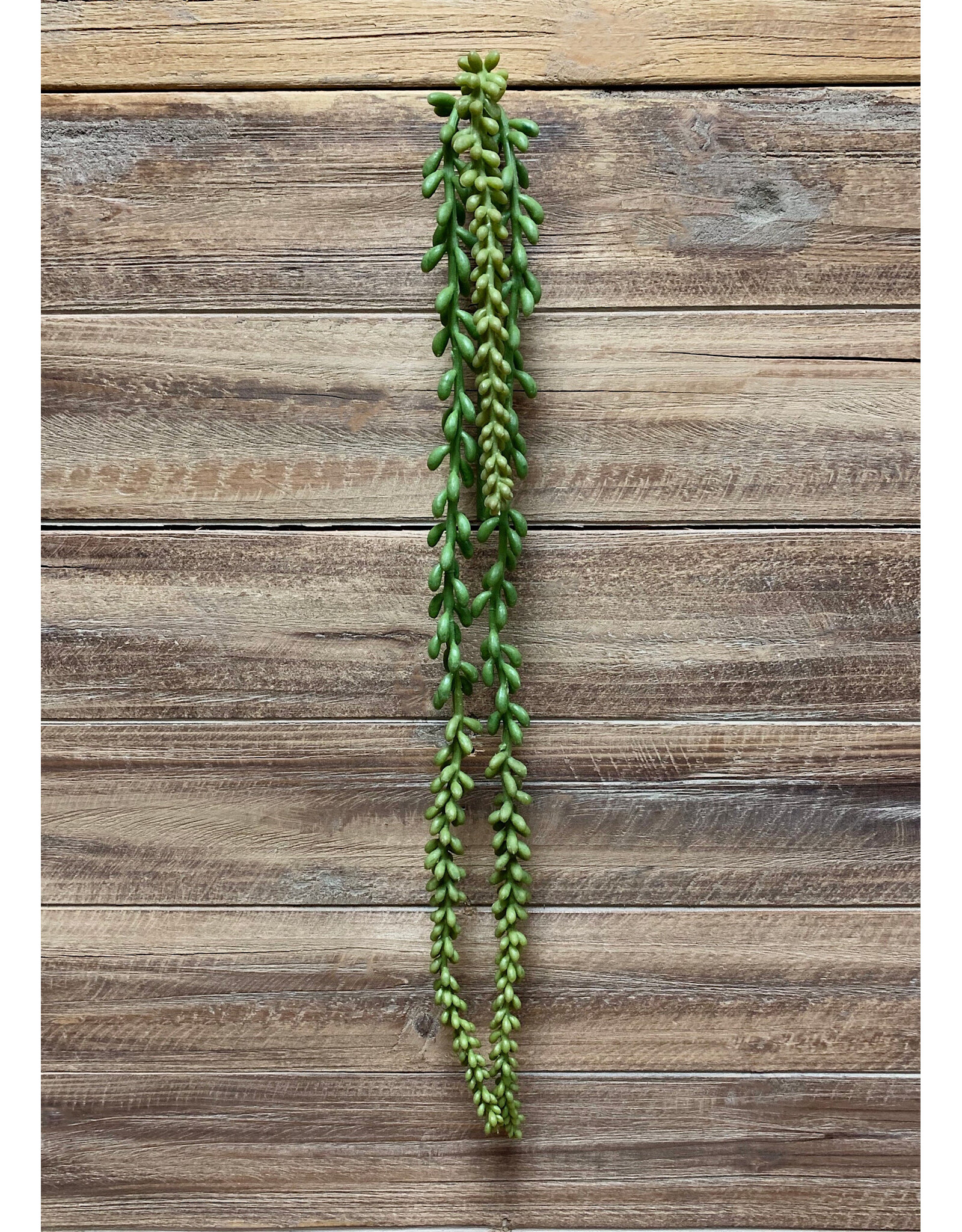 26" Nertera Berry Hanging Pick
