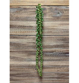 26" Nertera Berry Hanging Pick