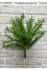 13.5" Asparagus Bush - Green