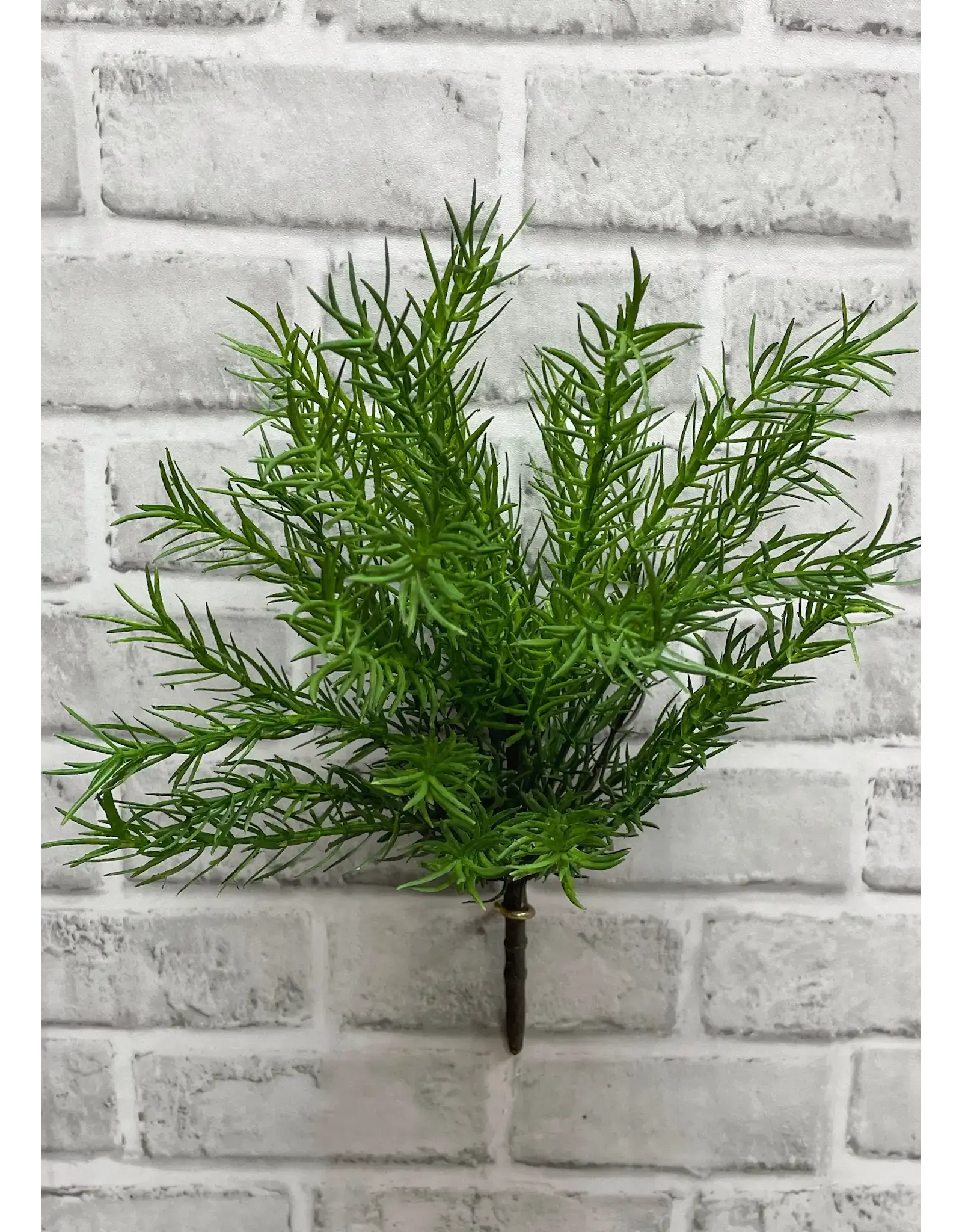 13.5" Asparagus Bush - Green