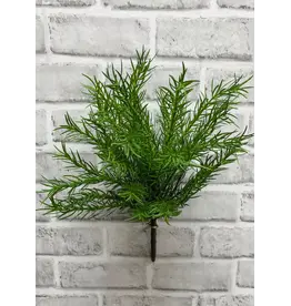 13.5" Asparagus Bush - Green