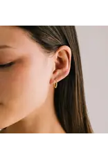 Evie 15mm Hoop Earrings - Gold