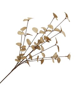 Holland Imports Spray Eucalyptus 26.5" Beige