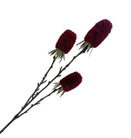 Holland Imports Spray Banksia 29" Burgundy