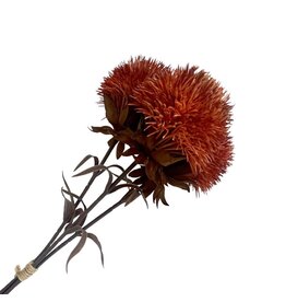 Holland Imports Spray Dianthus 16" Orange