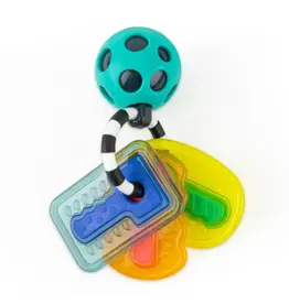 Drive N' Drool Toy Keys