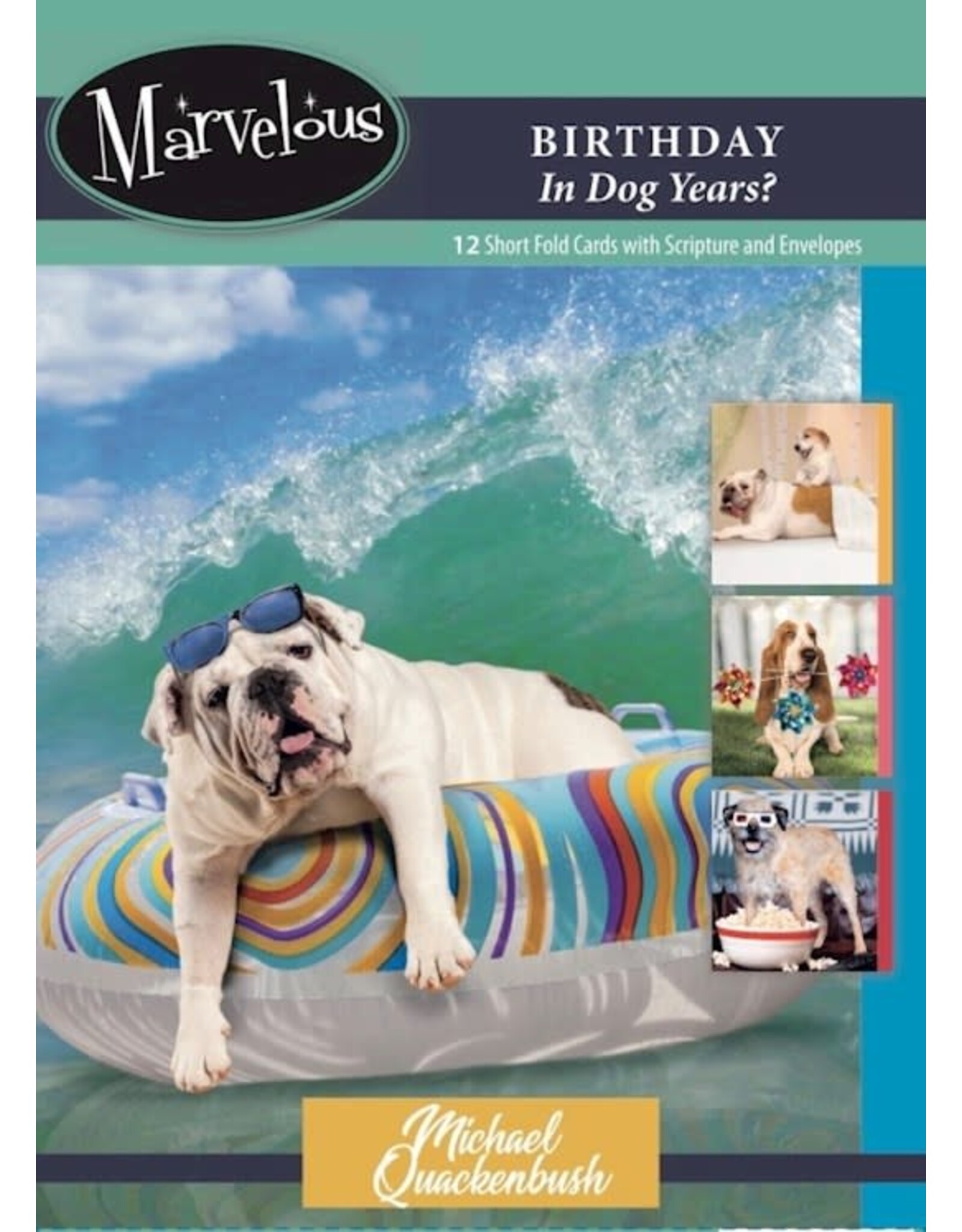 Birthday, In Dog Years? - 12 Boxed Cards