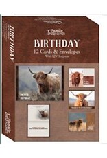 Birthday, Highland Cows - 12 Boxed Cards