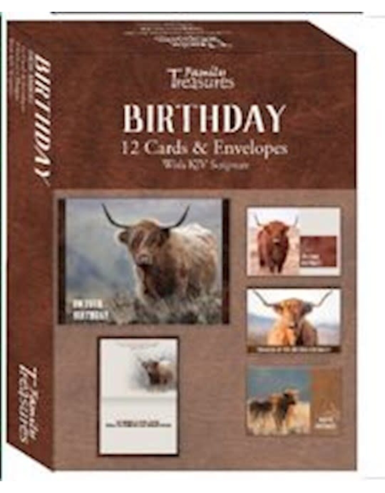 Birthday, Highland Cows - 12 Boxed Cards