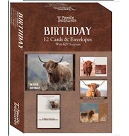 Birthday, Highland Cows - 12 Boxed Cards