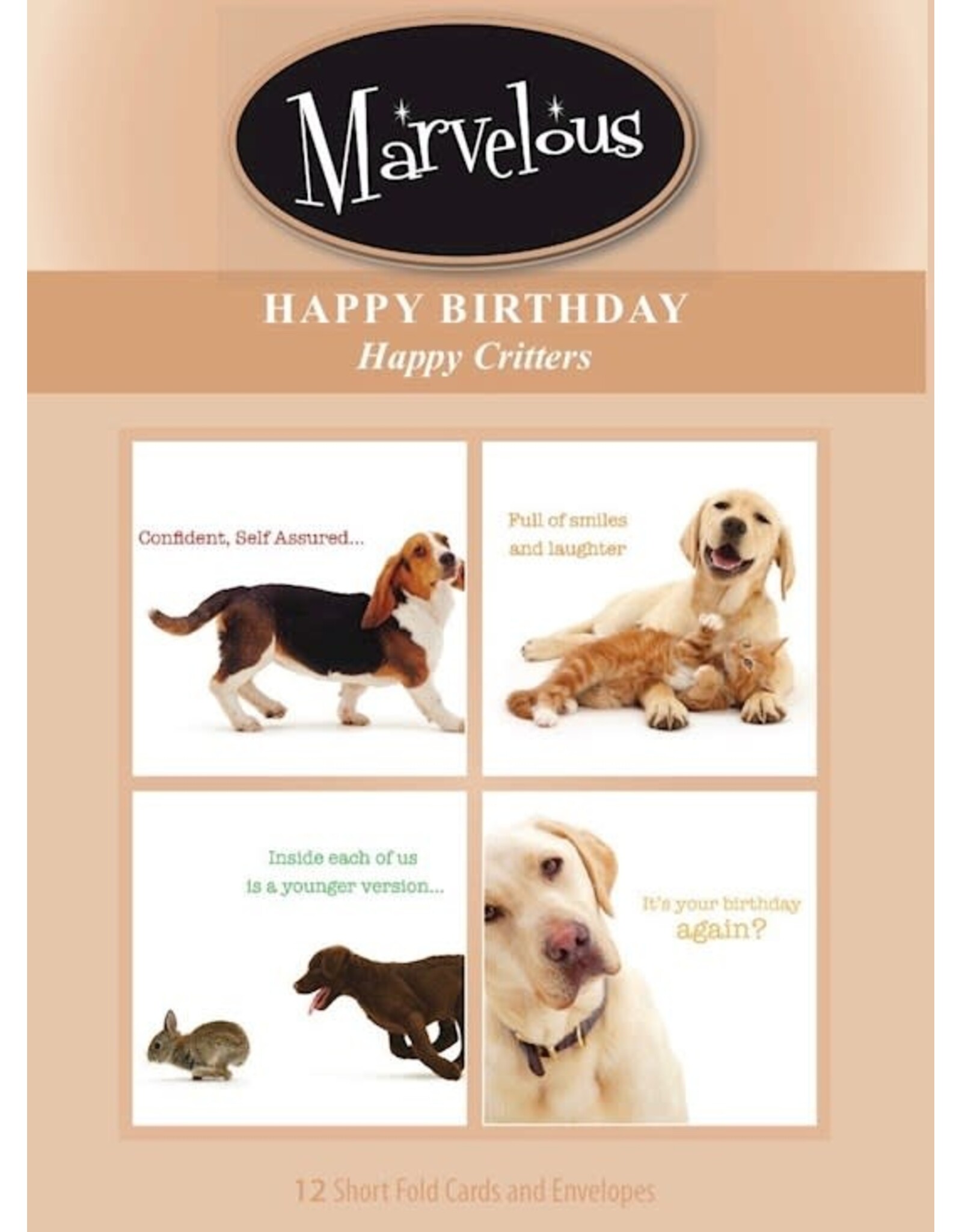 Birthday, Happy Dogs - 12 Boxed Cards