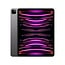 Apple iPad Pro 11" - 256GB - Cellular - Space Gray (4th Generation)