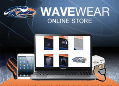 Wave Gear
