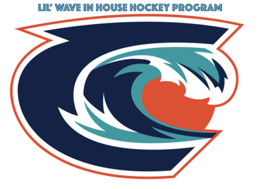 Little Wave Hockey Program