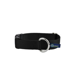 2 Hounds Design Buckle Collar: Black, 1" L