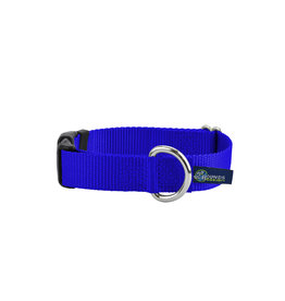 2 Hounds Design Buckle Collar: Royal Blue, 5/8" XS