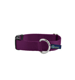 2 Hounds Design Buckle Collar: Burgundy, 1" L