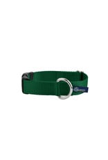 2 Hounds Design Buckle Collar: Kelly Green, 1" M