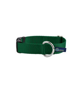 2 Hounds Design Buckle Collar: Kelly Green, 1" M