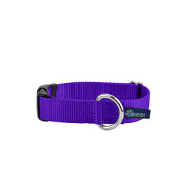 2 Hounds Design Buckle Collar: Purple, 1.5" XL