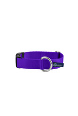 2 Hounds Design Buckle Collar: Purple, 1" XL