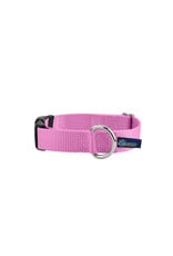 2 Hounds Design Buckle Collar: Rose Pink, 5/8" S