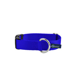 2 Hounds Design Buckle Collar: Royal Blue, 1.5" M