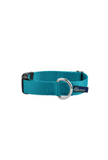 2 Hounds Design Buckle Collar: Teal, 1" L