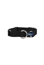 2 Hounds Design Martingale w/ buckle: Black, 1" L