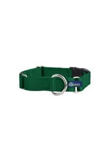 2 Hounds Design Martingale w/ buckle: Kelly Green, 1" M