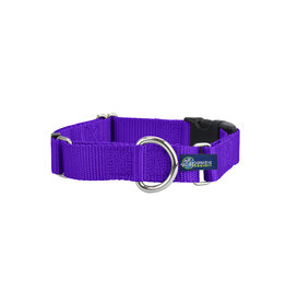 2 Hounds Design Martingale w/ buckle: Purple, 1" L