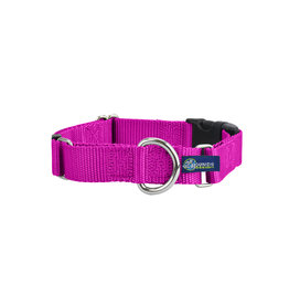 2 Hounds Design Martingale w/ buckle: Raspberry, 1" L