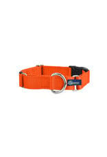 2 Hounds Design Martingale w/ buckle: Rust, 1" M